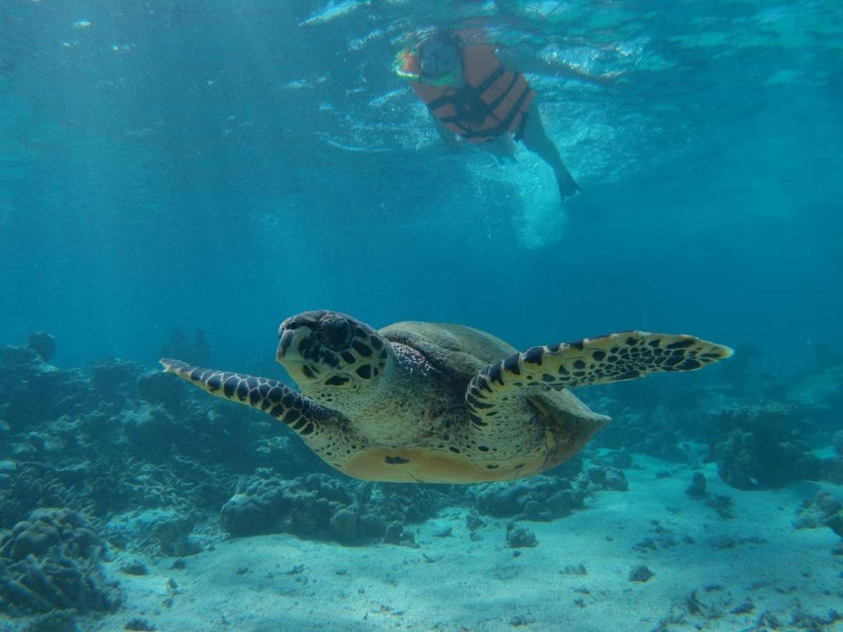 Chambao Maldives Hotell Guraidhoo  Eksteriør bilde